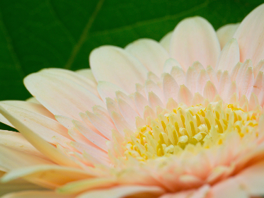 深入解析90vs足球比分，助你掌握足球比赛的最新动态